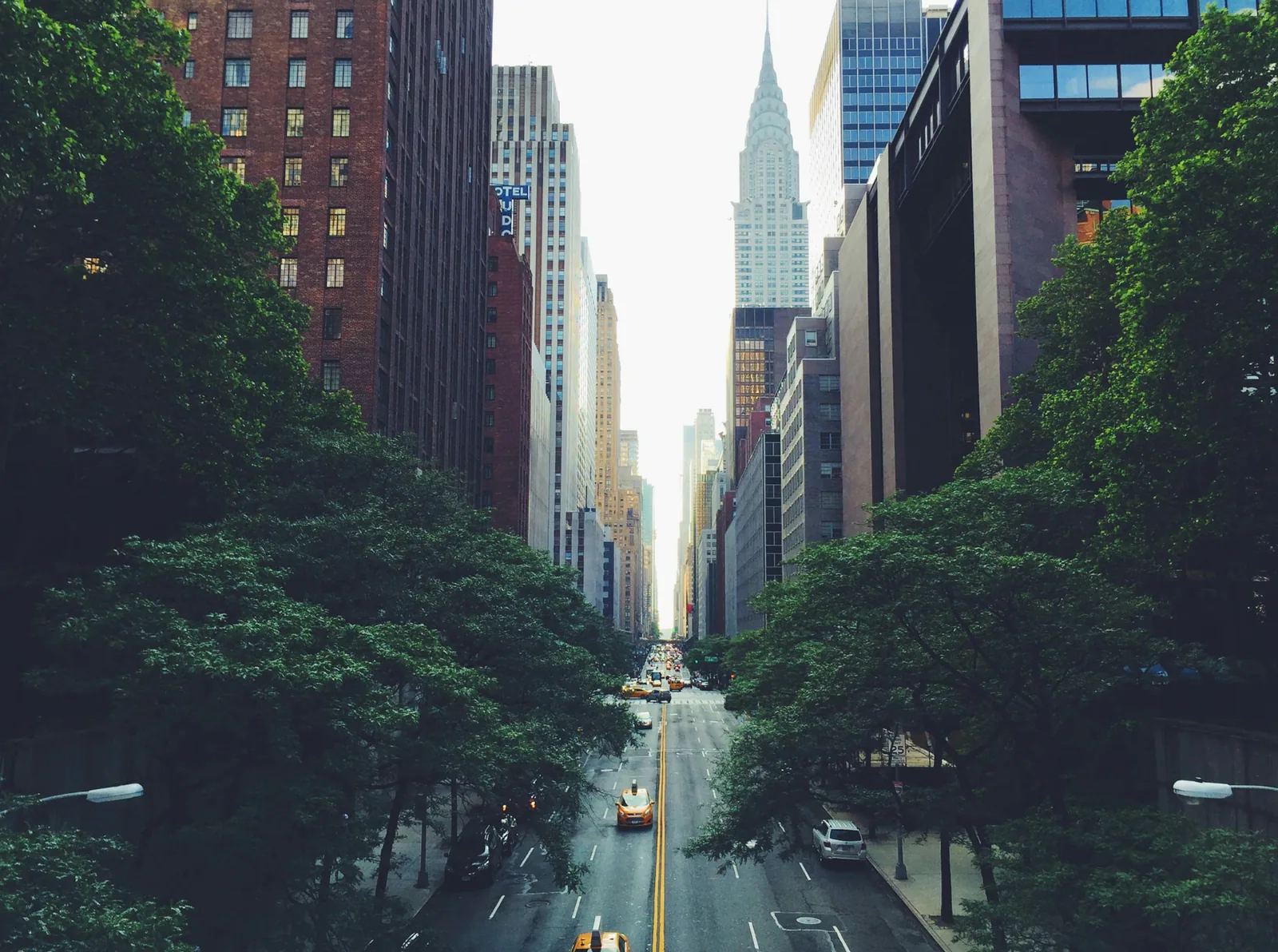 Chrysler Building rising above a tree-lined Manhattan street