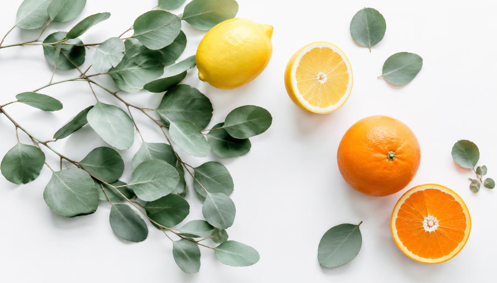 Fresh eucalyptus and citrus on a white surface